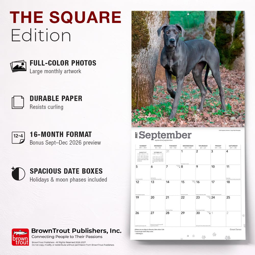Great Danes | 2027 12 x 24 Inch (Hanging) Monthly Square Wall Calendar