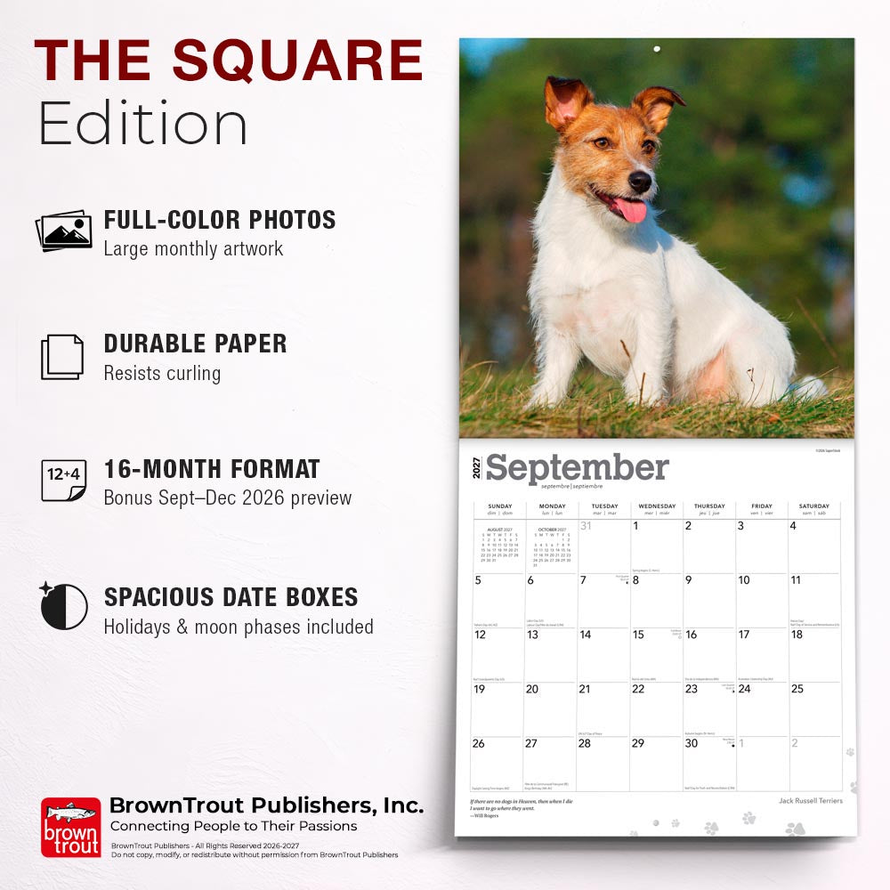 Jack Russell Terriers | 2027 12 x 24 Inch (Hanging) Monthly Square Wall Calendar