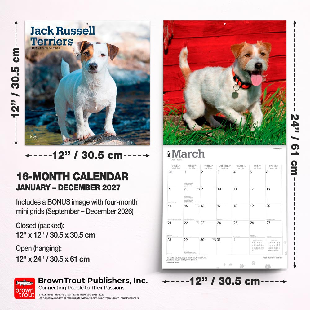 Jack Russell Terriers | 2027 12 x 24 Inch (Hanging) Monthly Square Wall Calendar