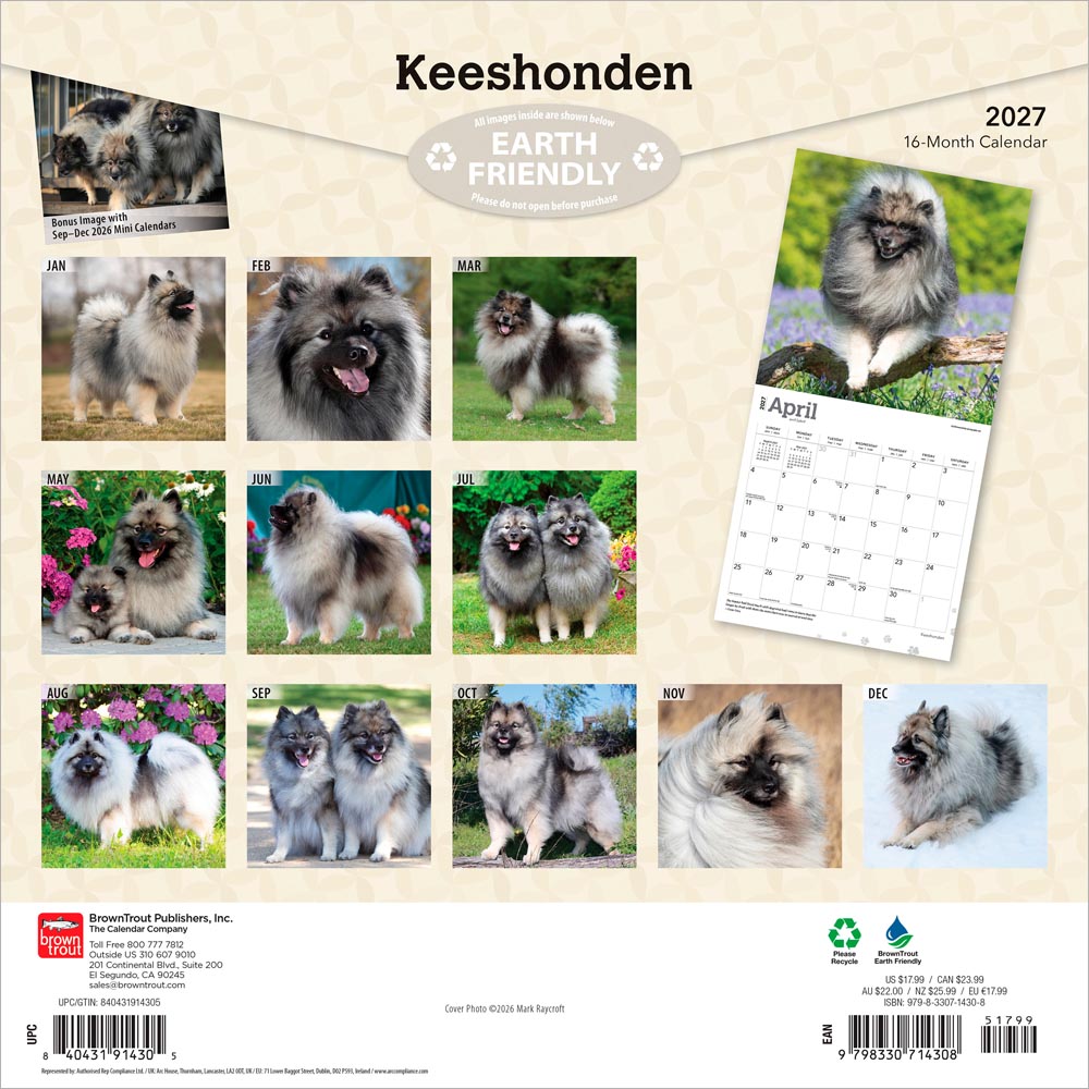 Keeshonden | 2027 12 x 24 Inch (Hanging) Monthly Square Wall Calendar