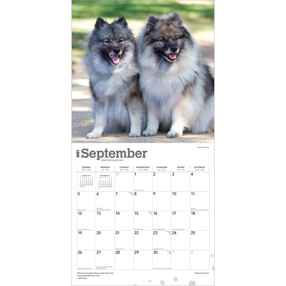 Keeshonden | 2027 12 x 24 Inch (Hanging) Monthly Square Wall Calendar