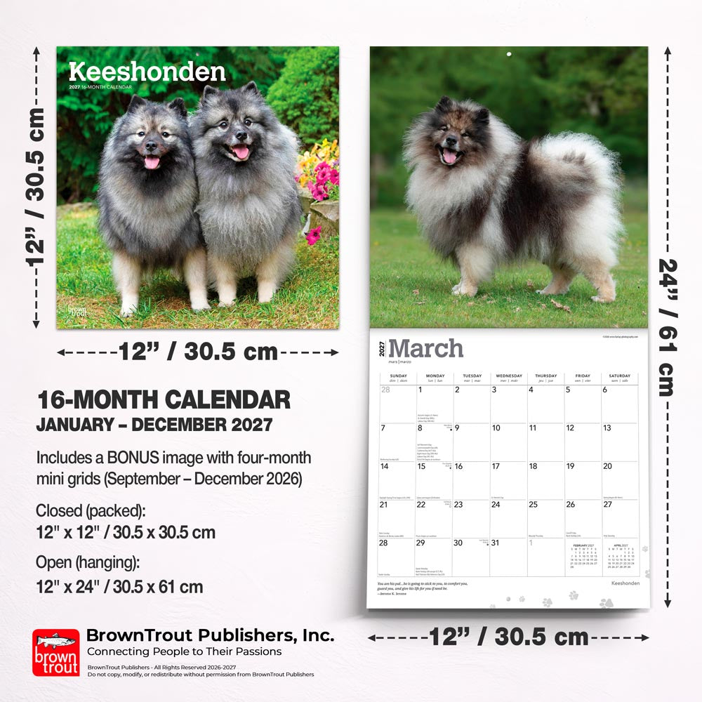 Keeshonden | 2027 12 x 24 Inch (Hanging) Monthly Square Wall Calendar