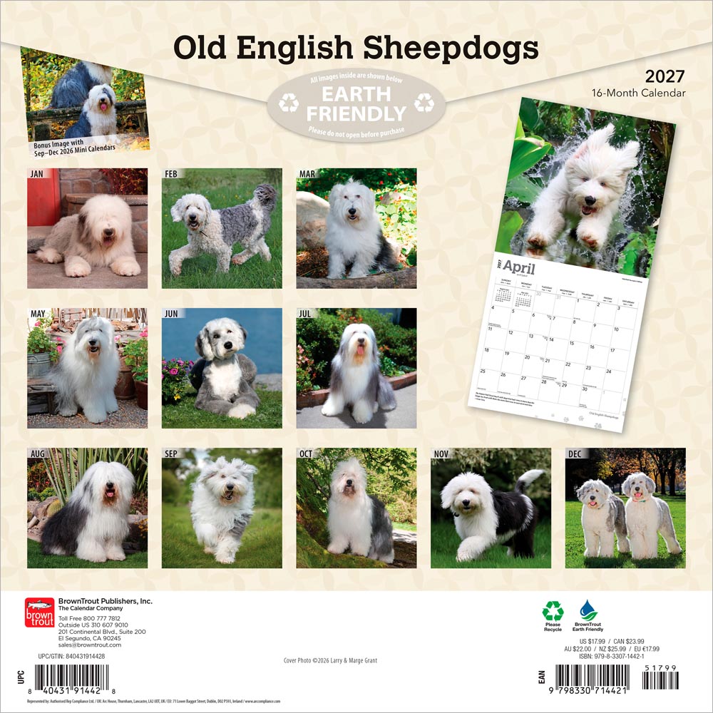 Old English Sheepdogs | 2027 12 x 24 Inch (Hanging) Monthly Square Wall Calendar