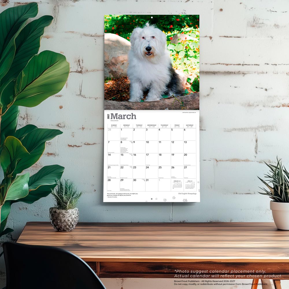 Old English Sheepdogs | 2027 12 x 24 Inch (Hanging) Monthly Square Wall Calendar