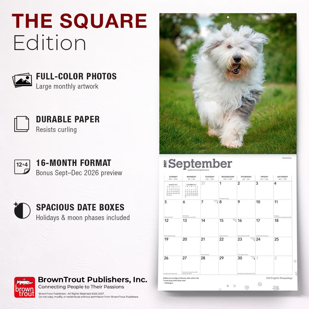 Old English Sheepdogs | 2027 12 x 24 Inch (Hanging) Monthly Square Wall Calendar