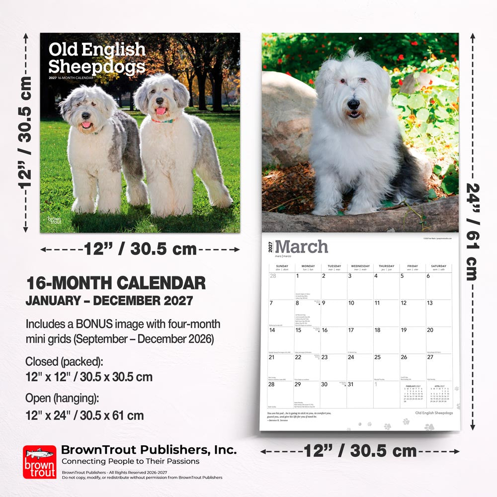 Old English Sheepdogs | 2027 12 x 24 Inch (Hanging) Monthly Square Wall Calendar