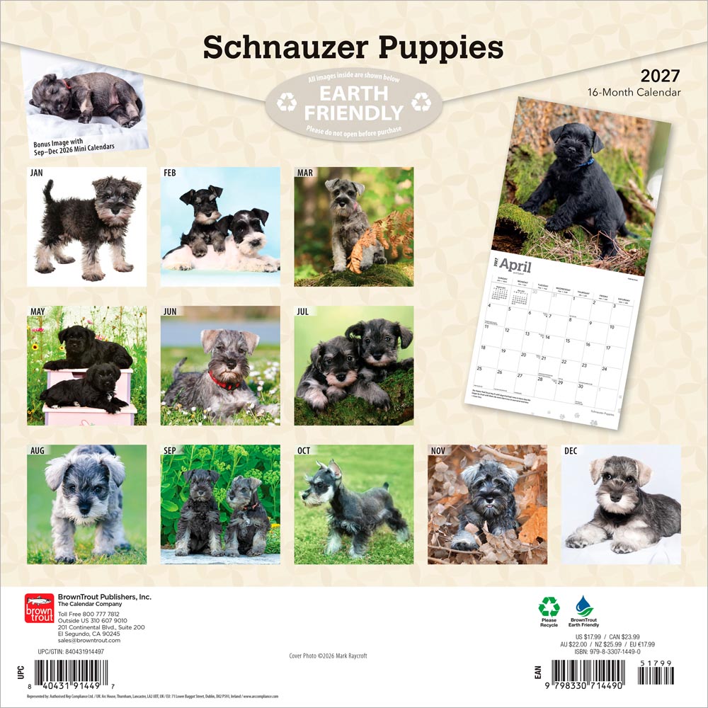 Schnauzer Puppies | 2027 12 x 24 Inch (Hanging) Monthly Square Wall Calendar