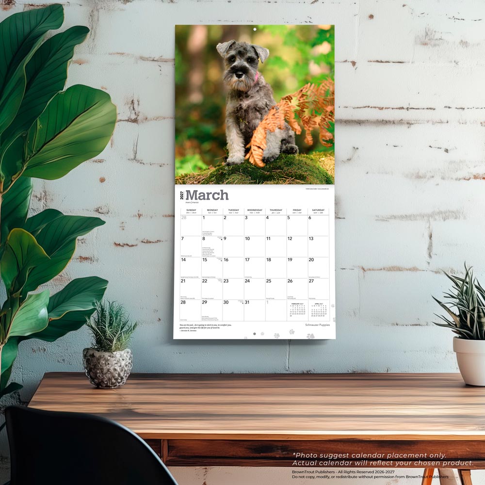 Schnauzer Puppies | 2027 12 x 24 Inch (Hanging) Monthly Square Wall Calendar