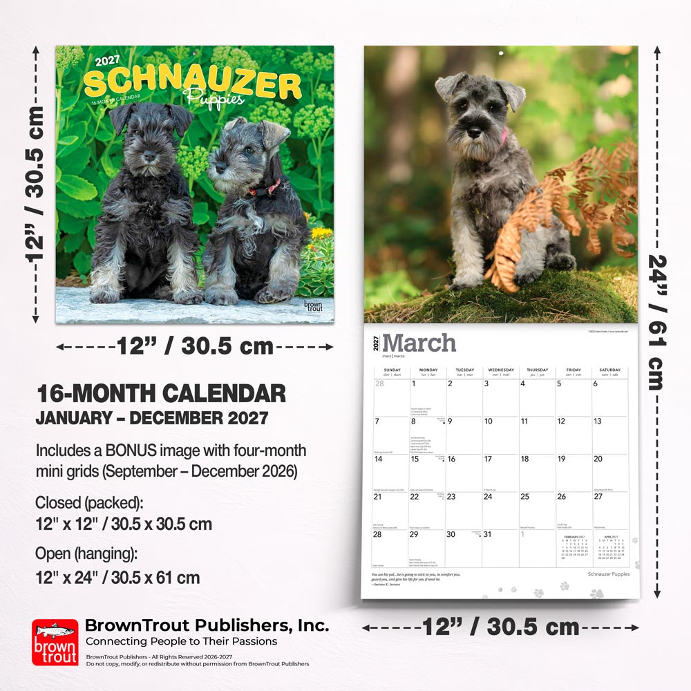 Schnauzer Puppies | 2027 12 x 24 Inch (Hanging) Monthly Square Wall Calendar