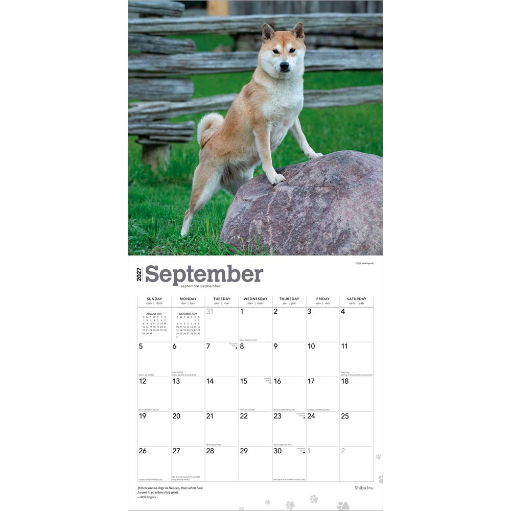 Shiba Inu | 2027 12 x 24 Inch (Hanging) Monthly Square Wall Calendar
