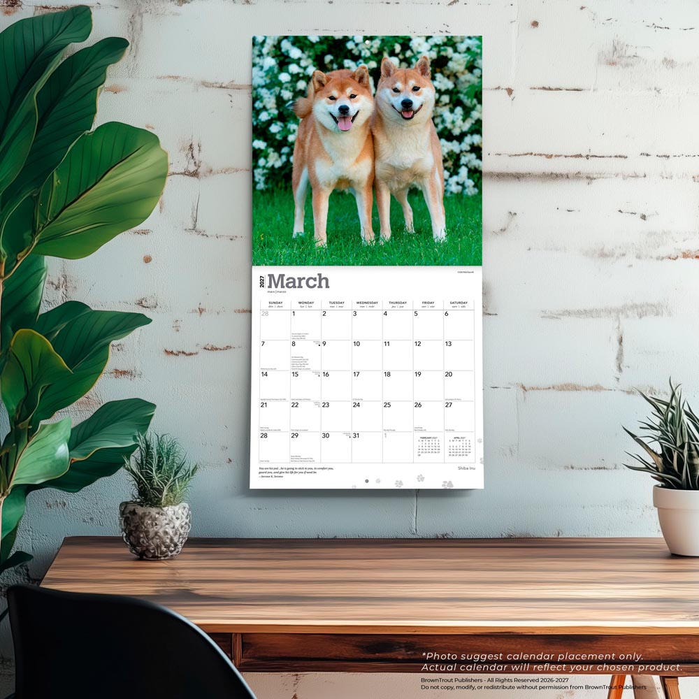 Shiba Inu | 2027 12 x 24 Inch (Hanging) Monthly Square Wall Calendar