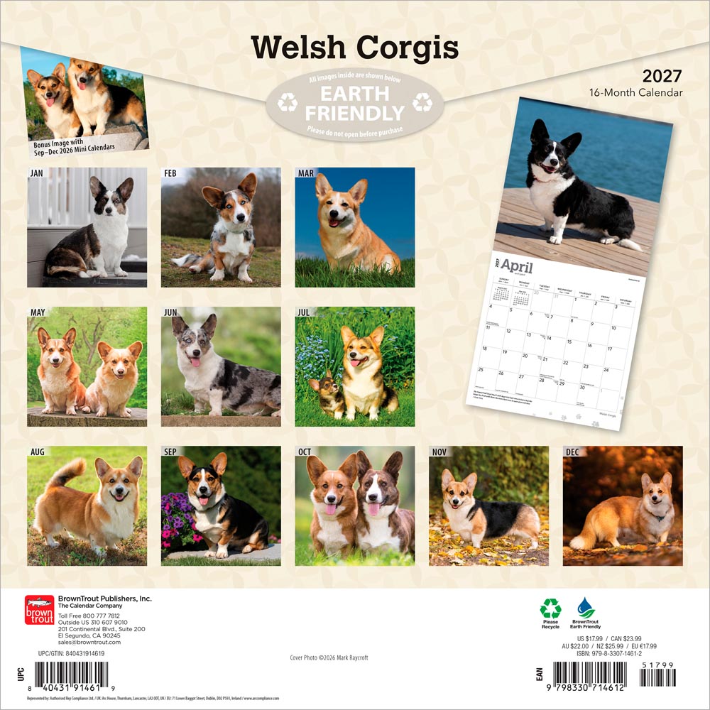 Welsh Corgis | 2027 12 x 24 Inch (Hanging) Monthly Square Wall Calendar
