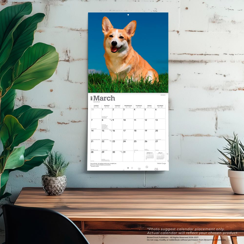 Welsh Corgis | 2027 12 x 24 Inch (Hanging) Monthly Square Wall Calendar