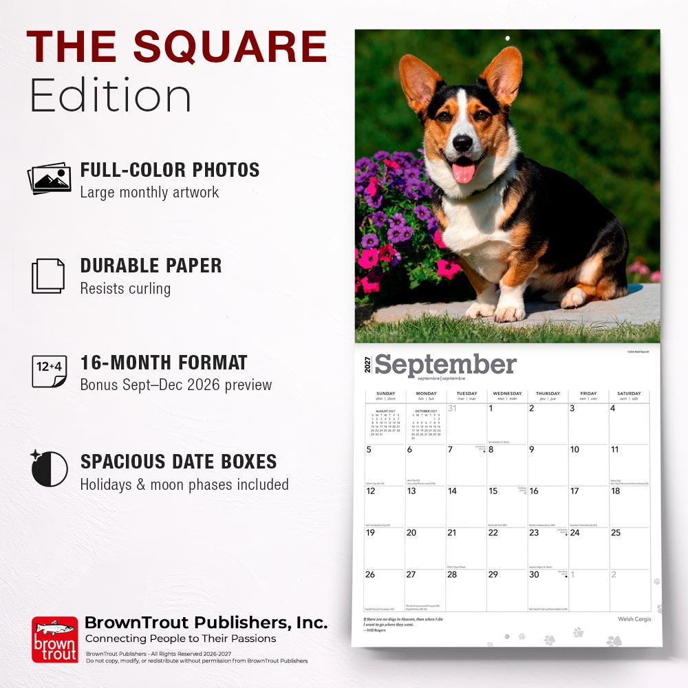 Welsh Corgis | 2027 12 x 24 Inch (Hanging) Monthly Square Wall Calendar