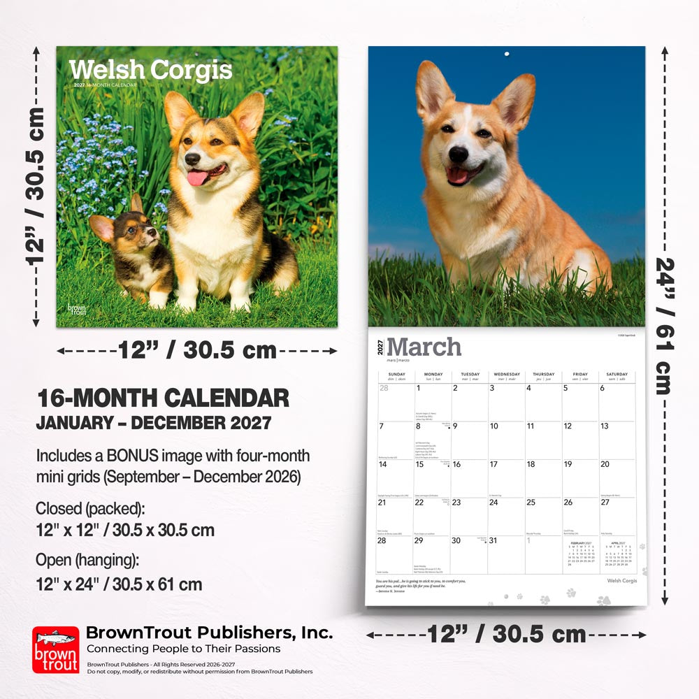 Welsh Corgis | 2027 12 x 24 Inch (Hanging) Monthly Square Wall Calendar
