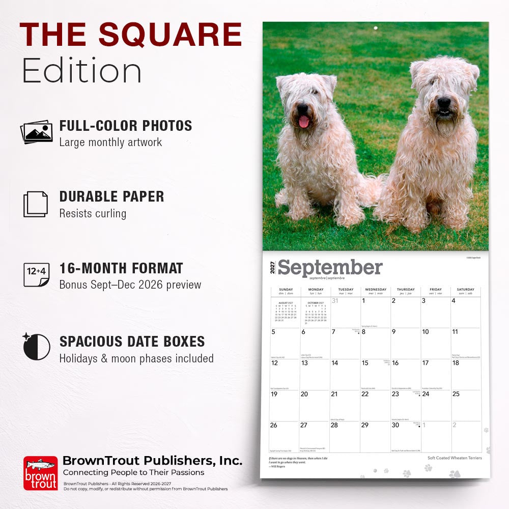 Soft Coated Wheaten Terriers | 2027 12 x 24 Inch (Hanging) Monthly Square Wall Calendar