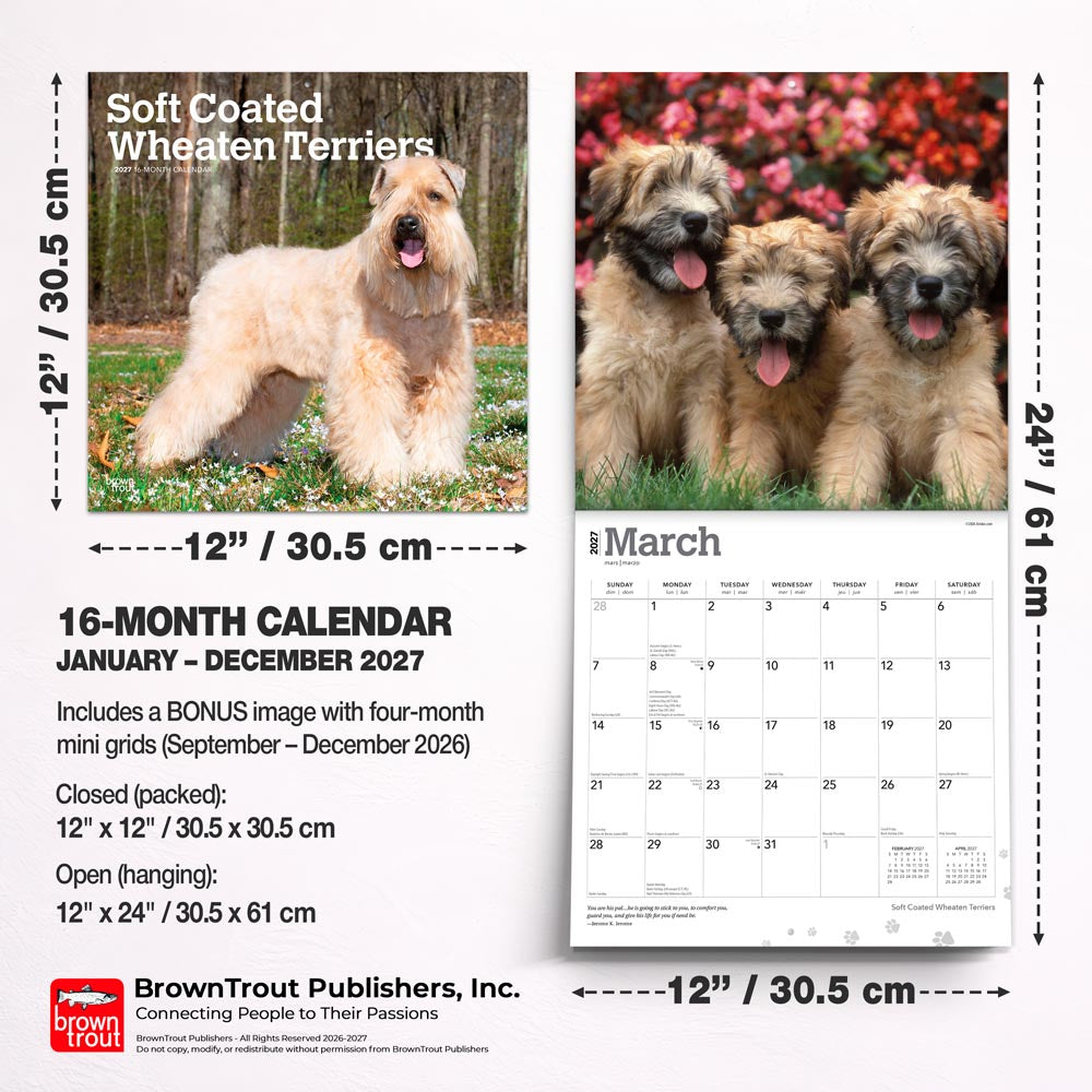 Soft Coated Wheaten Terriers | 2027 12 x 24 Inch (Hanging) Monthly Square Wall Calendar