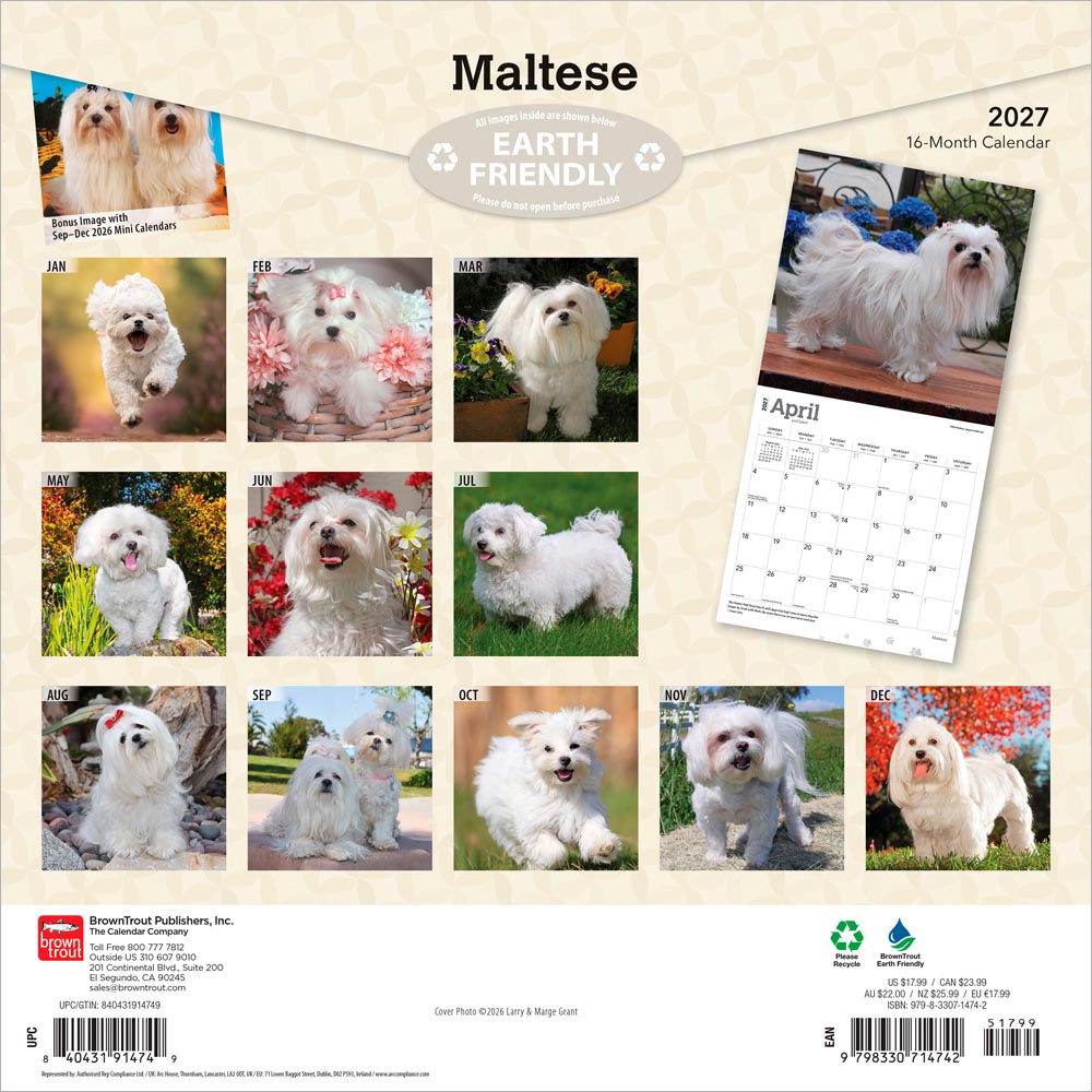 Maltese | 2027 12 x 24 Inch (Hanging) Monthly Square Wall Calendar