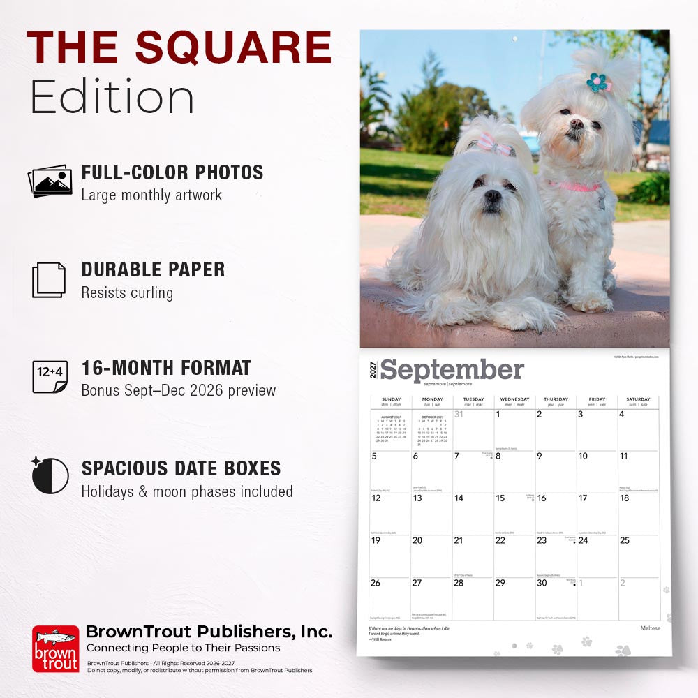 Maltese | 2027 12 x 24 Inch (Hanging) Monthly Square Wall Calendar