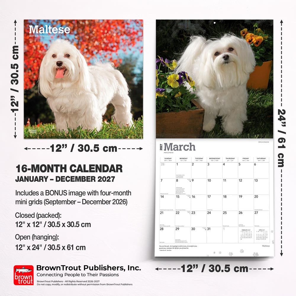 Maltese | 2027 12 x 24 Inch (Hanging) Monthly Square Wall Calendar