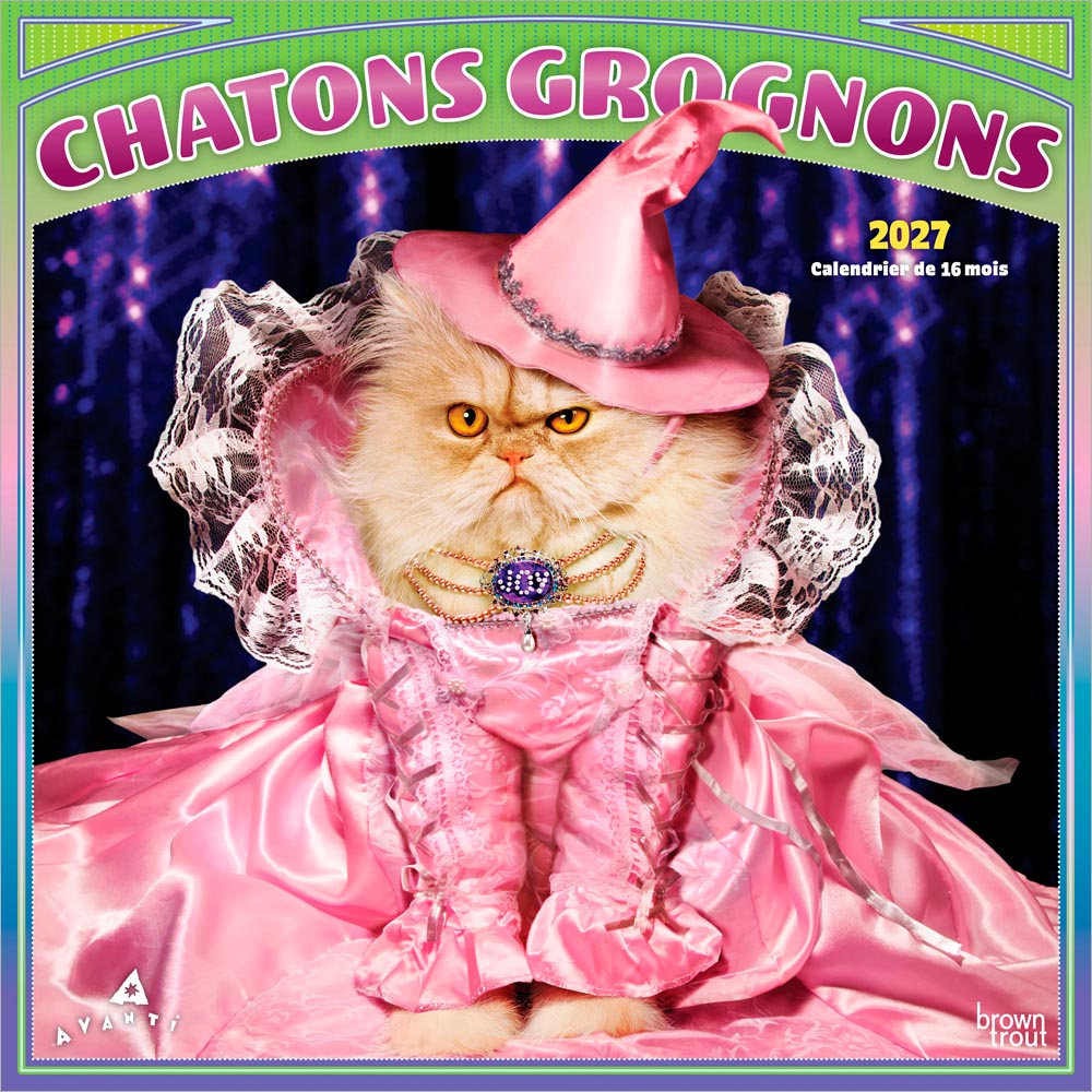 Avanti Chatons Grognons OFFICIEL | 2027 12 x 24 Inch (Hanging) Monthly Square Wall Calendar | French Language