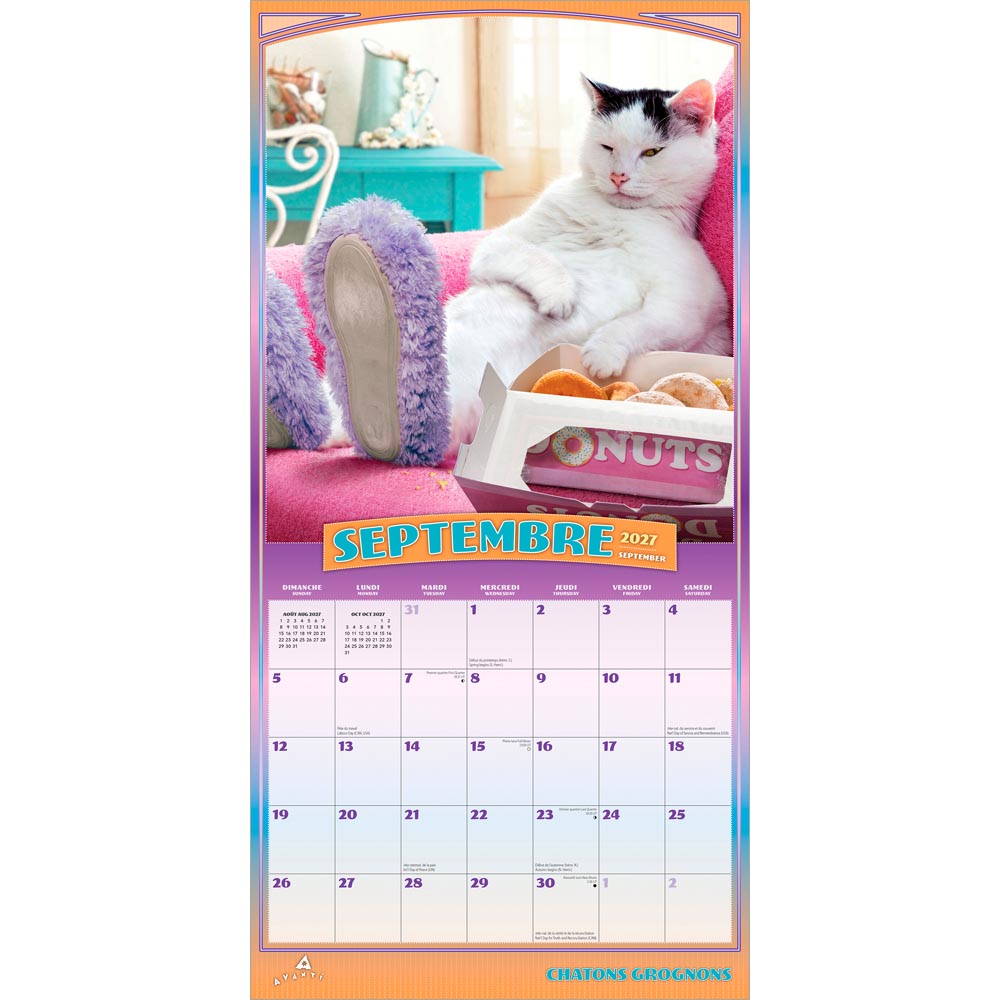 Avanti Chatons Grognons OFFICIEL | 2027 12 x 24 Inch (Hanging) Monthly Square Wall Calendar | French Language