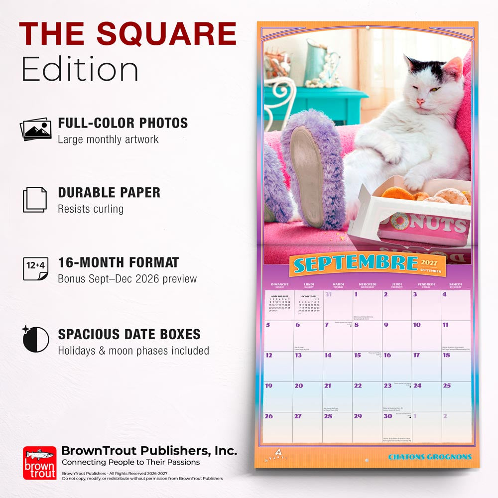 Avanti Chatons Grognons OFFICIEL | 2027 12 x 24 Inch (Hanging) Monthly Square Wall Calendar | French Language
