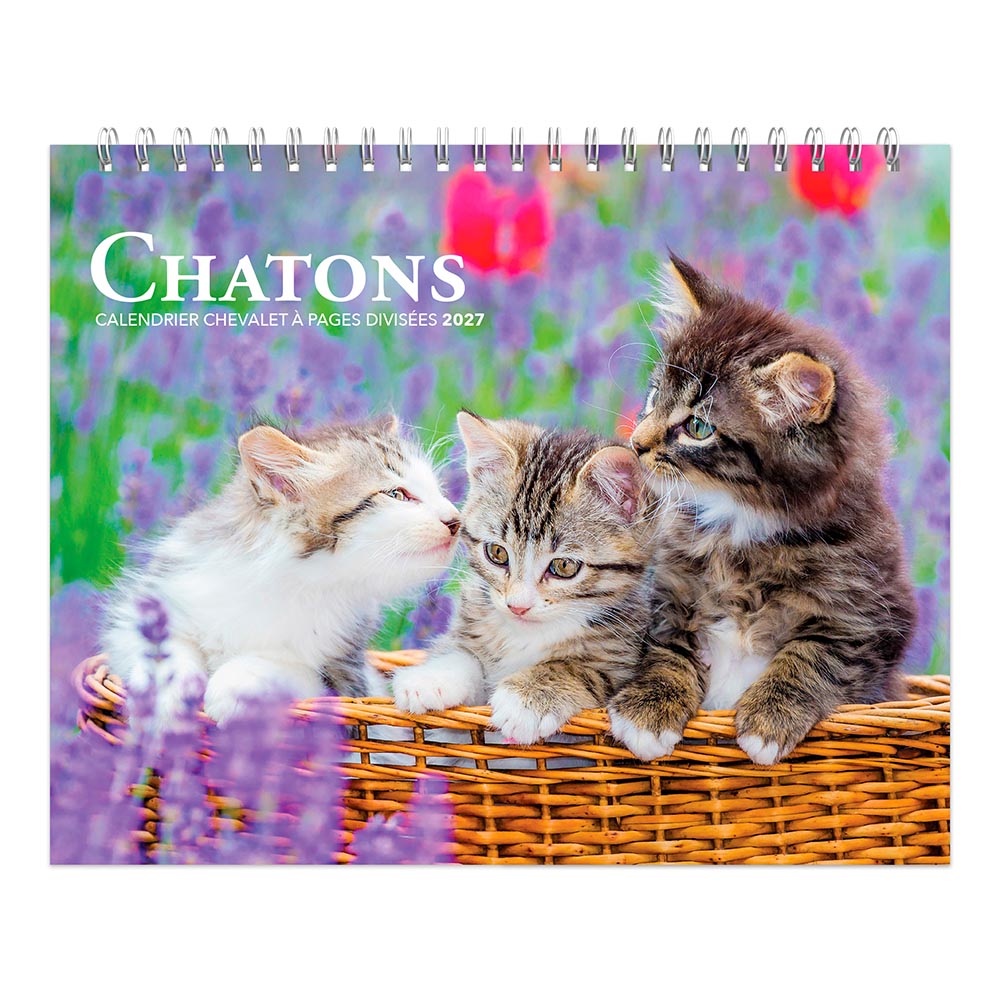 Chatons | 2027 7.5 x 6 Inch Monthly Double-View Easel Desk Calendar | French Language