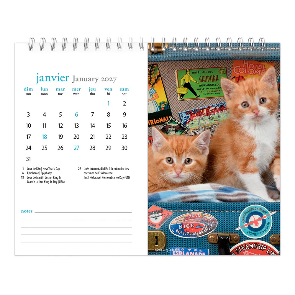 Chatons | 2027 7.5 x 6 Inch Monthly Double-View Easel Desk Calendar | French Language