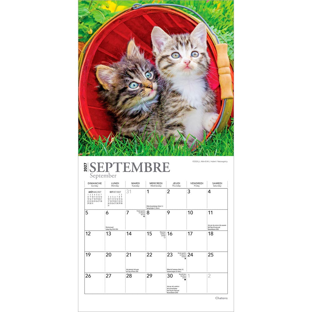 Chatons | 2027 7 x 14 Inch (Hanging) Monthly Mini Wall Calendar | French Language