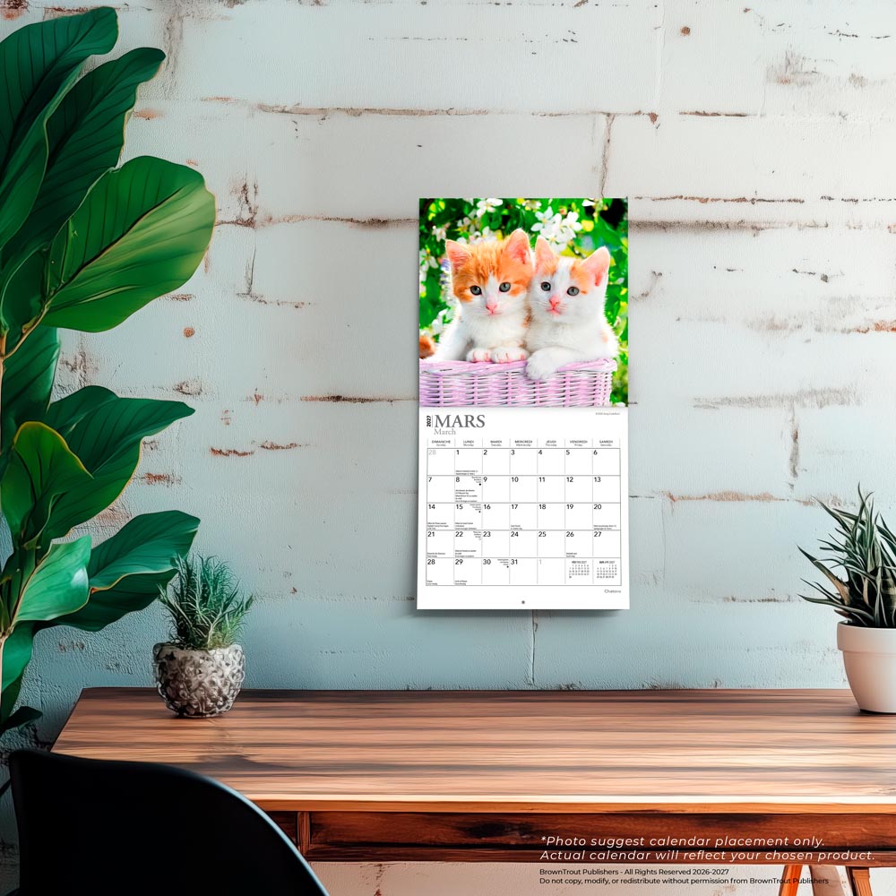 Chatons | 2027 7 x 14 Inch (Hanging) Monthly Mini Wall Calendar | French Language