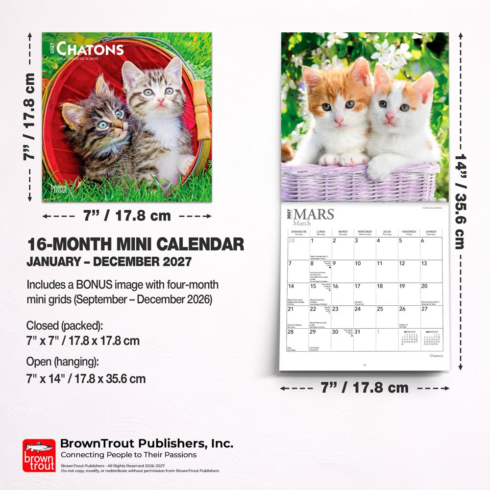 Chatons | 2027 7 x 14 Inch (Hanging) Monthly Mini Wall Calendar | French Language