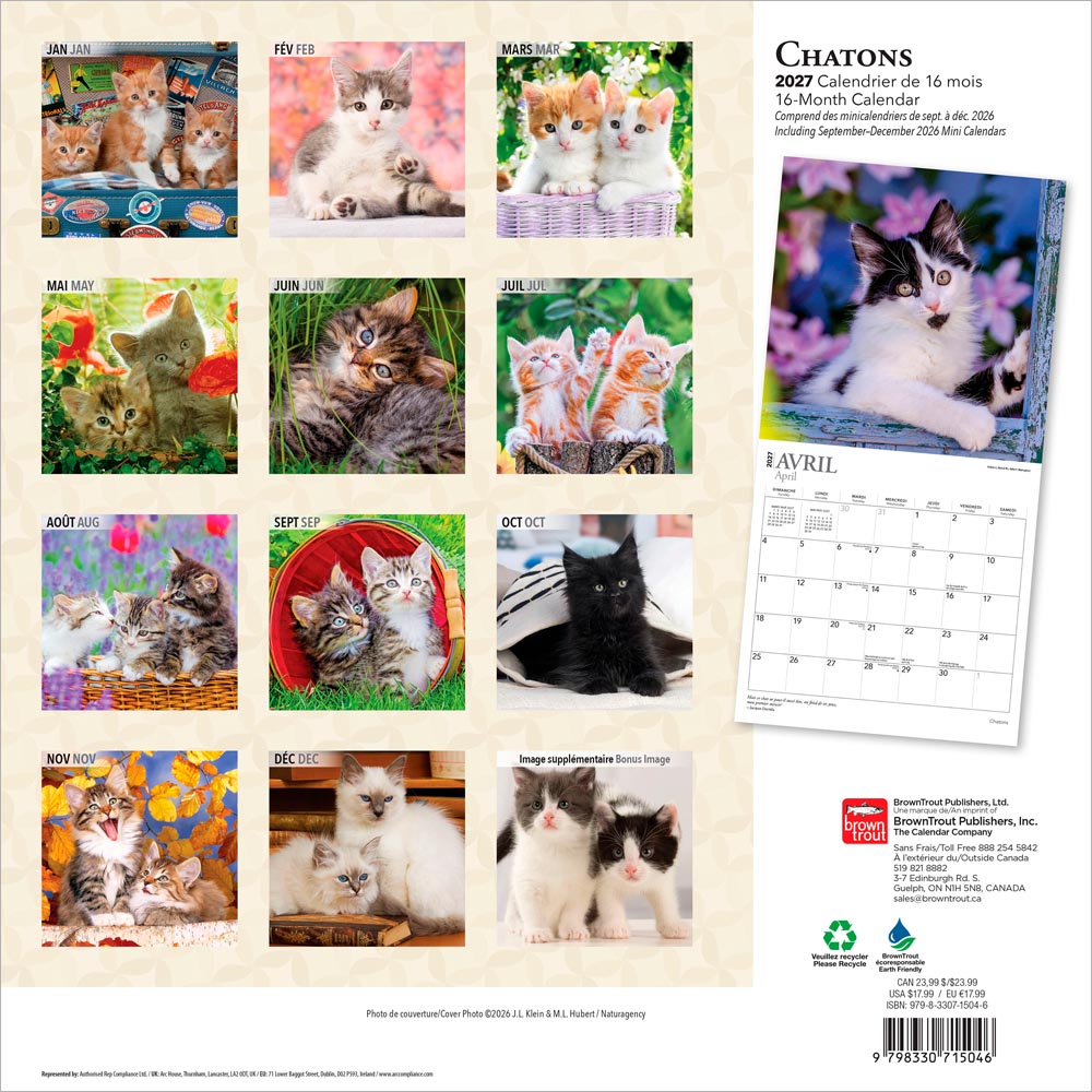 Chatons | 2027 12 x 24 Inch (Hanging) Monthly Square Wall Calendar | French Language