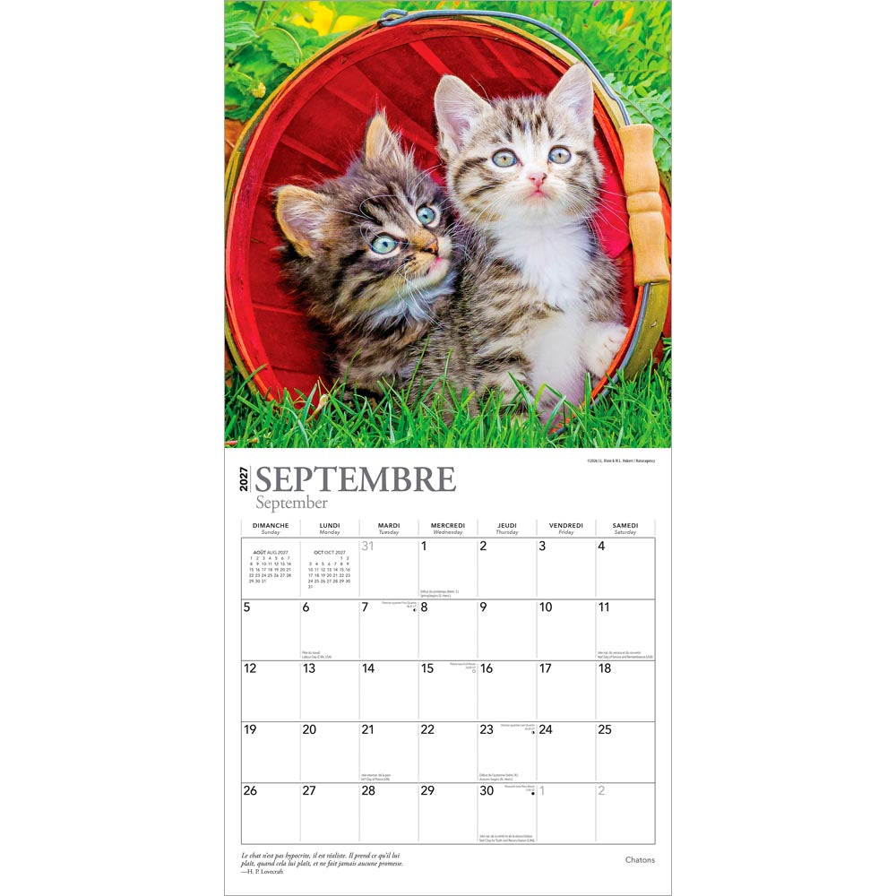 Chatons | 2027 12 x 24 Inch (Hanging) Monthly Square Wall Calendar | French Language