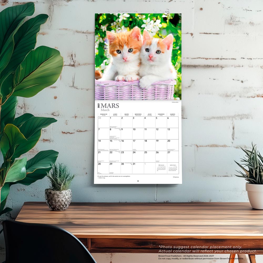 Chatons | 2027 12 x 24 Inch (Hanging) Monthly Square Wall Calendar | French Language
