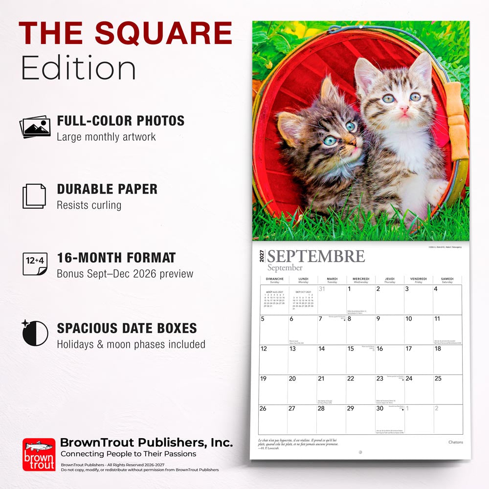 Chatons | 2027 12 x 24 Inch (Hanging) Monthly Square Wall Calendar | French Language