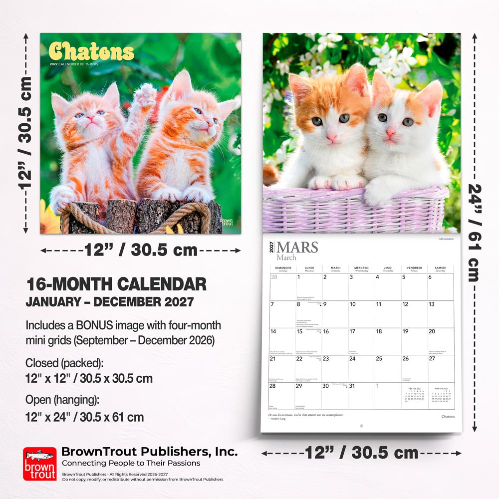 Chatons | 2027 12 x 24 Inch (Hanging) Monthly Square Wall Calendar | French Language