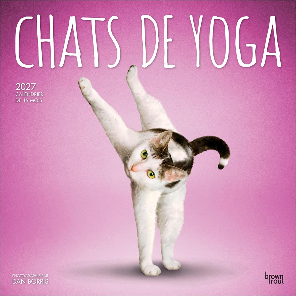 Chats de Yoga OFFICIEL | 2027 12 x 24 Inch (Hanging) Monthly Square Wall Calendar | French Language