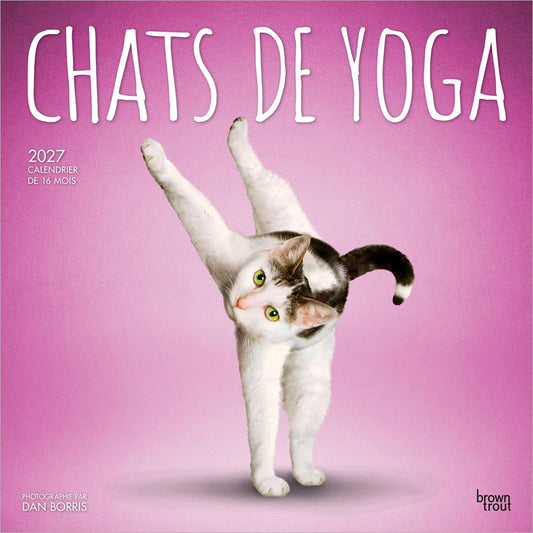 Chats de Yoga OFFICIEL | 2027 12 x 24 Inch (Hanging) Monthly Square Wall Calendar | French Language