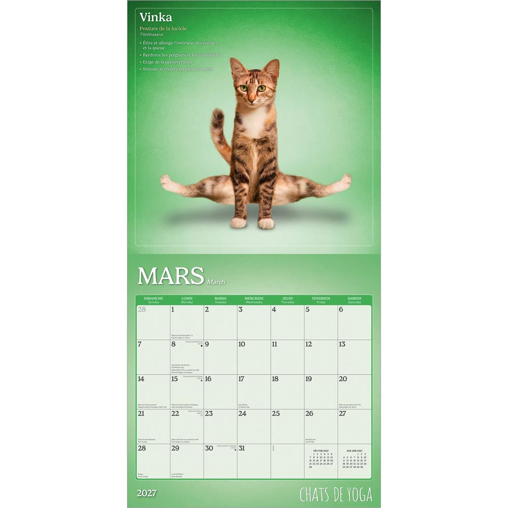 Chats de Yoga OFFICIEL | 2027 12 x 24 Inch (Hanging) Monthly Square Wall Calendar | French Language