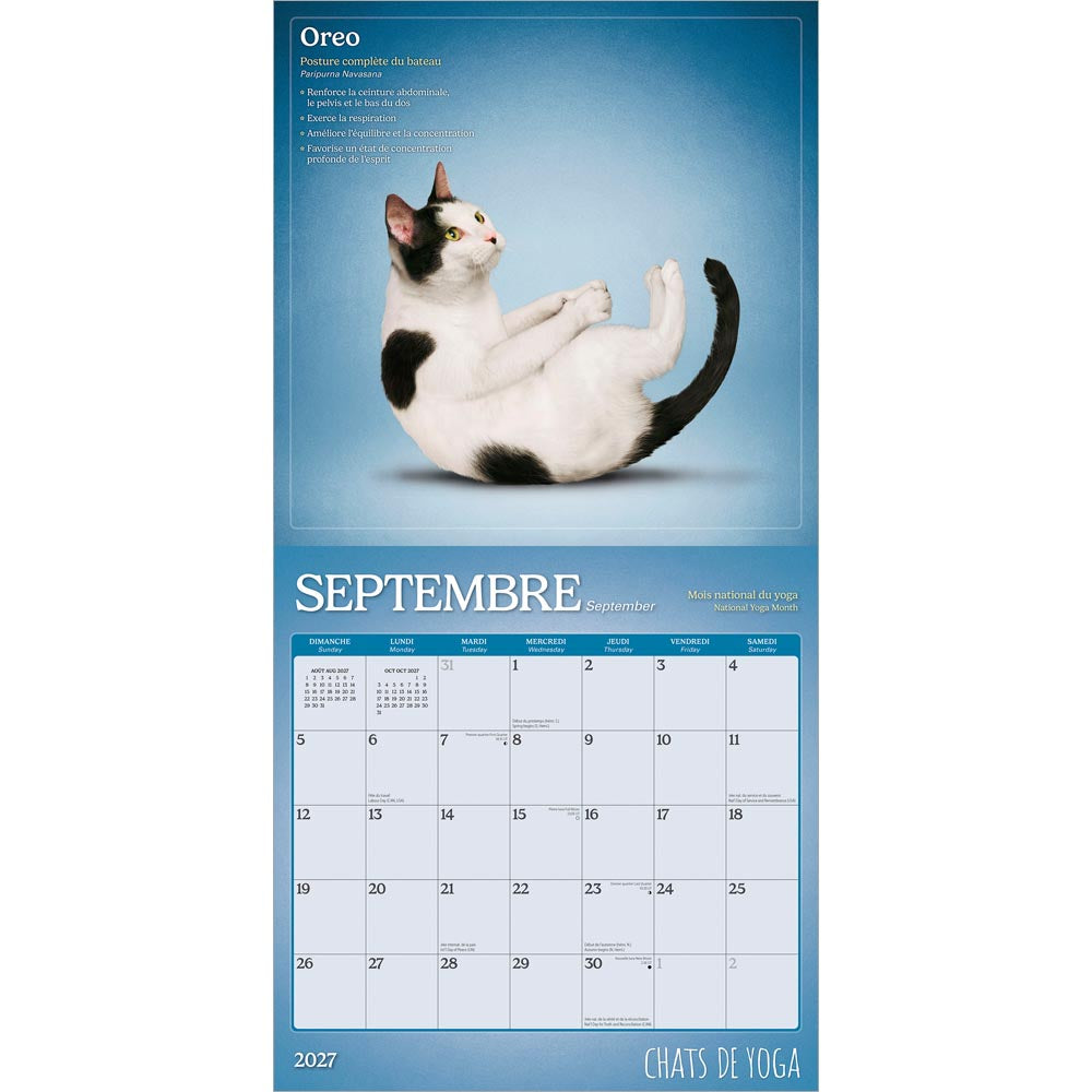 Chats de Yoga OFFICIEL | 2027 12 x 24 Inch (Hanging) Monthly Square Wall Calendar | French Language