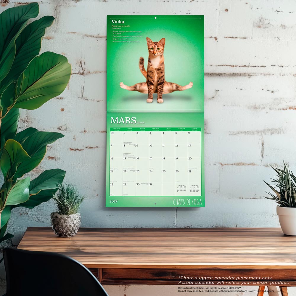 Chats de Yoga OFFICIEL | 2027 12 x 24 Inch (Hanging) Monthly Square Wall Calendar | French Language