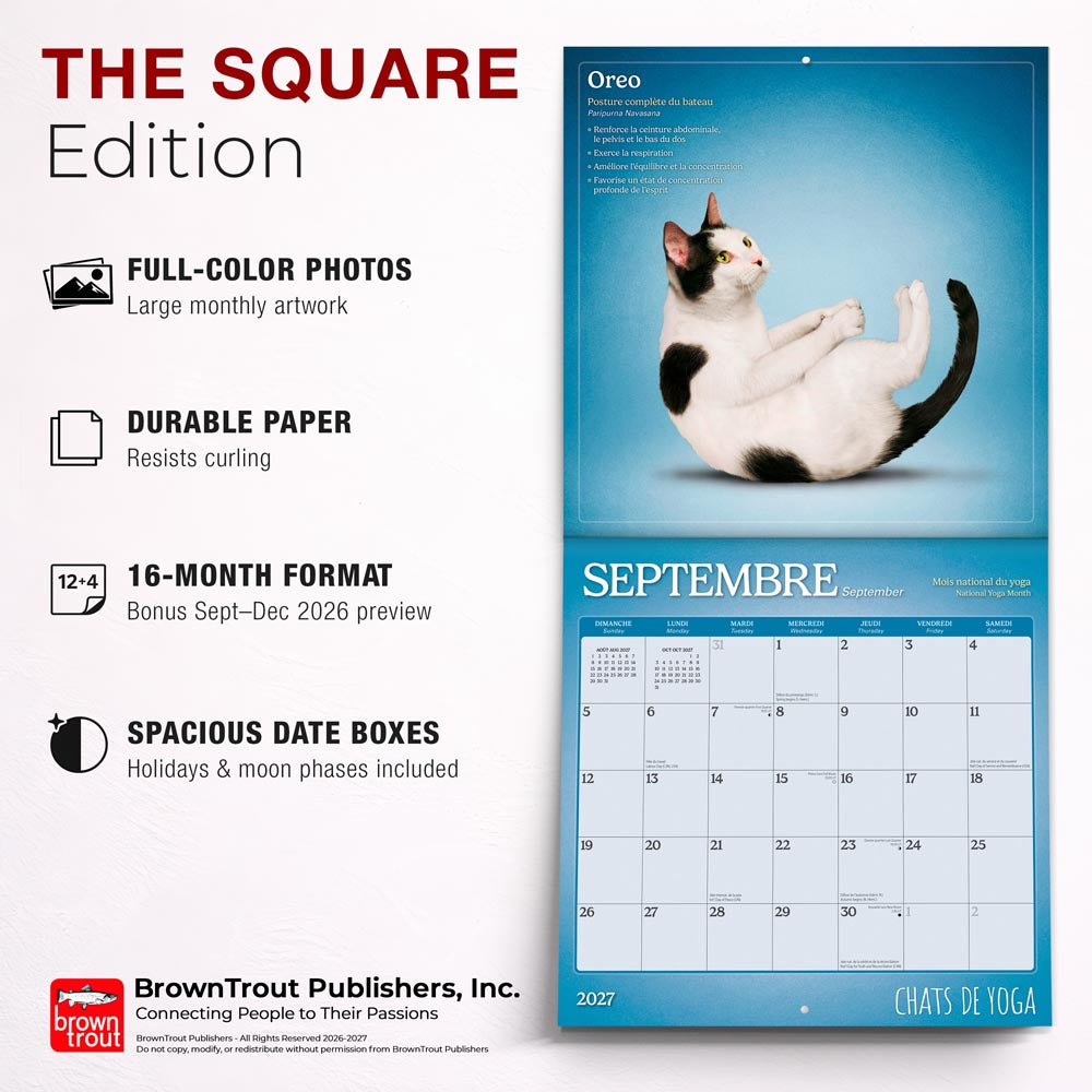 Chats de Yoga OFFICIEL | 2027 12 x 24 Inch (Hanging) Monthly Square Wall Calendar | French Language