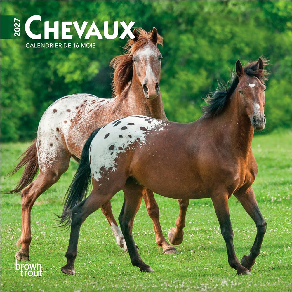 Chevaux | 2027 7 x 14 Inch (Hanging) Monthly Mini Wall Calendar | French Language