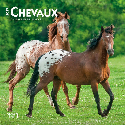 Chevaux | 2027 7 x 14 Inch (Hanging) Monthly Mini Wall Calendar | French Language