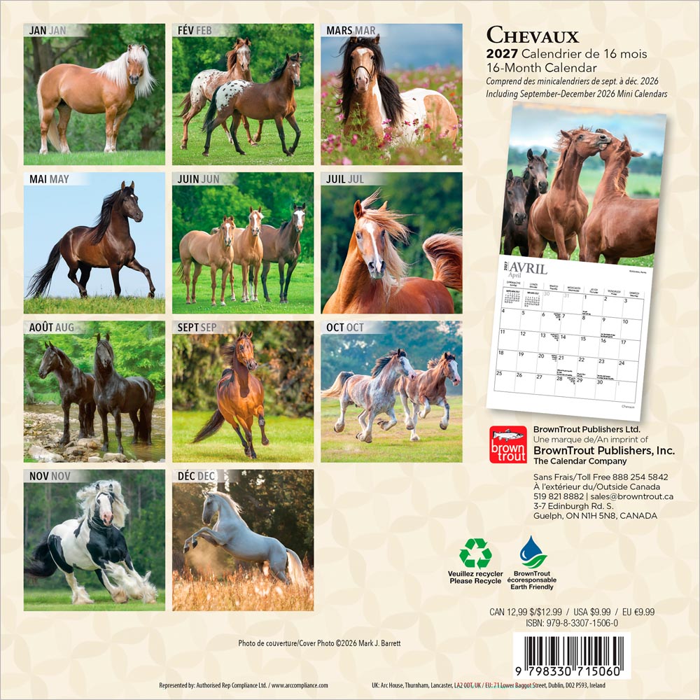 Chevaux | 2027 7 x 14 Inch (Hanging) Monthly Mini Wall Calendar | French Language