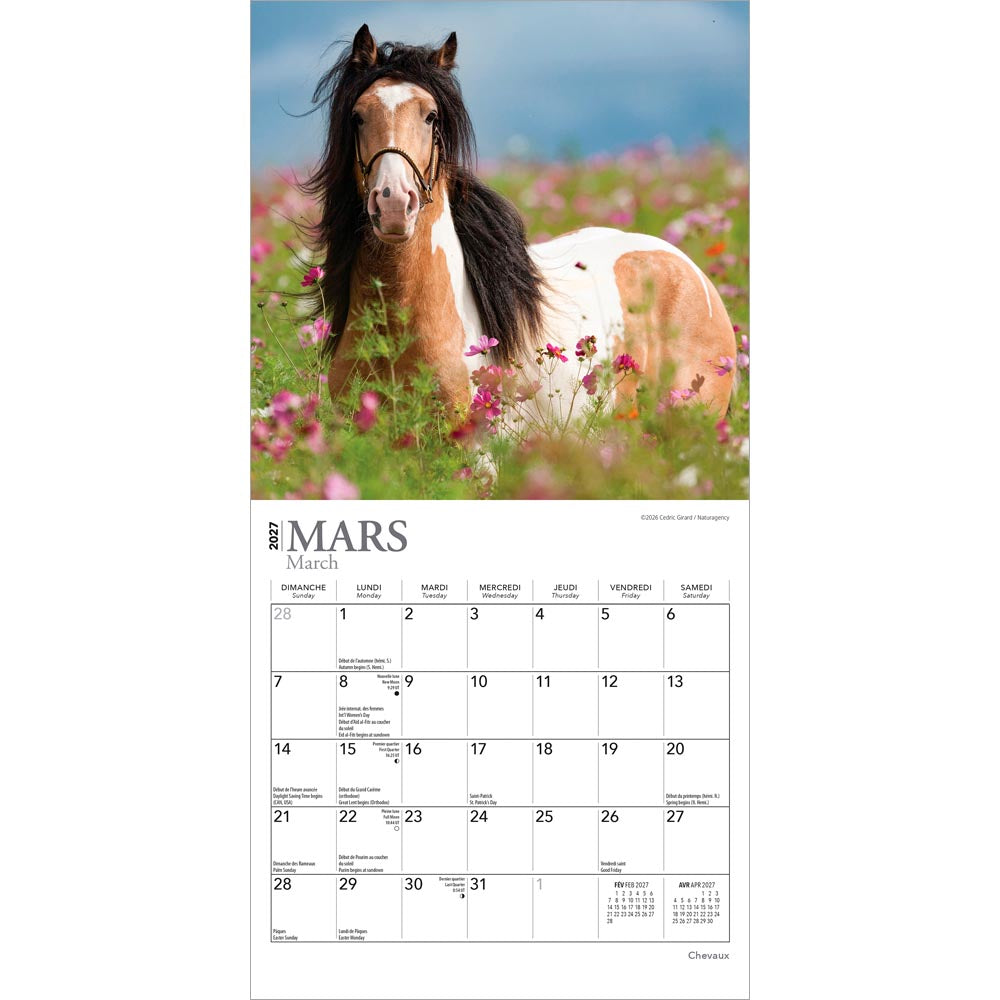 Chevaux | 2027 7 x 14 Inch (Hanging) Monthly Mini Wall Calendar | French Language