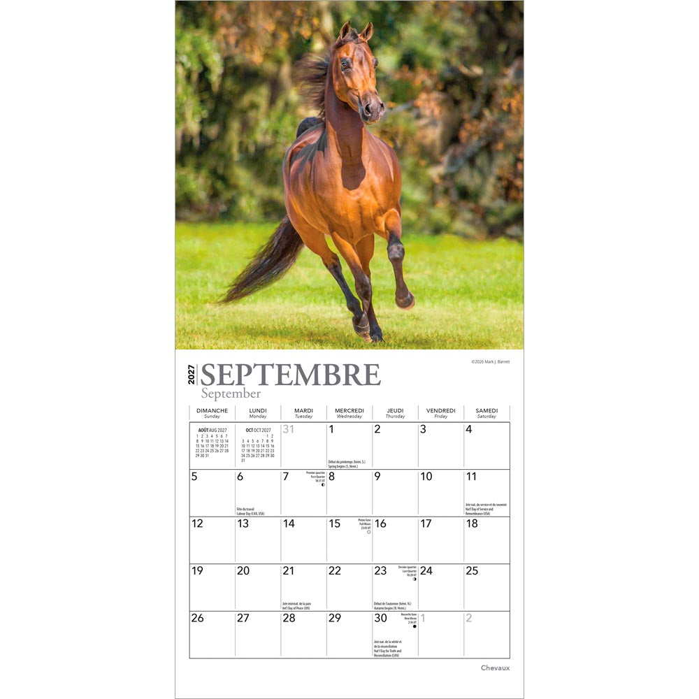 Chevaux | 2027 7 x 14 Inch (Hanging) Monthly Mini Wall Calendar | French Language