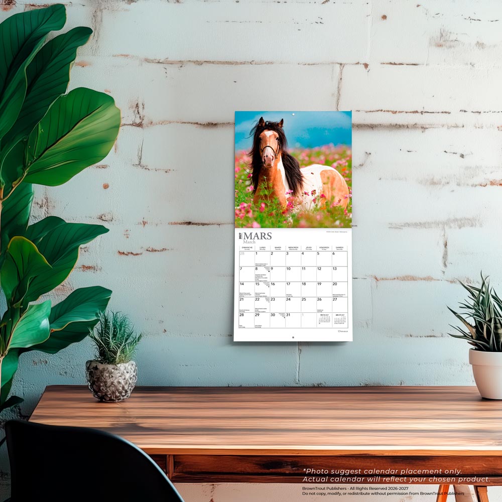 Chevaux | 2027 7 x 14 Inch (Hanging) Monthly Mini Wall Calendar | French Language