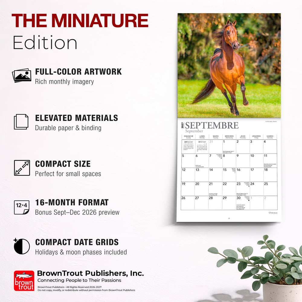 Chevaux | 2027 7 x 14 Inch (Hanging) Monthly Mini Wall Calendar | French Language